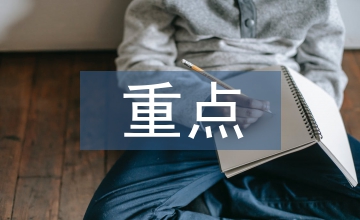 上半年重點(diǎn)工作總結(jié)