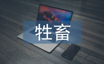 牲畜保險(xiǎn)存在問題與建議