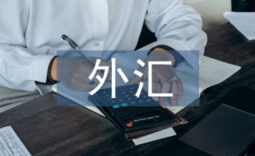 外匯市場(chǎng)風(fēng)險(xiǎn)的案例及分析