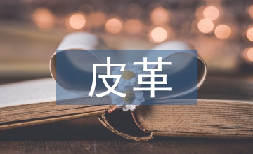 談皮革產(chǎn)業(yè)綠色經(jīng)濟(jì)