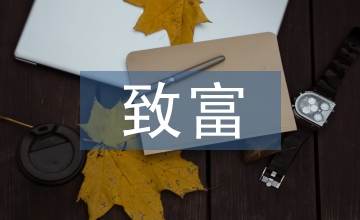 致富小項(xiàng)目