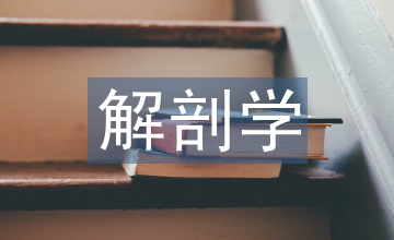 解剖學(xué)實(shí)驗(yàn)教學(xué)中的虛擬現(xiàn)實(shí)技術(shù)應(yīng)用