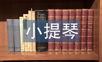 小提琴演奏中音色駕馭與把握淺談