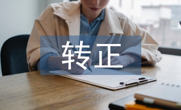 轉(zhuǎn)正前的工作總結(jié)