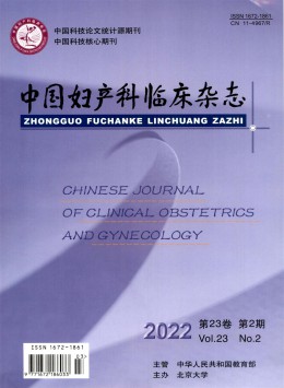 中國(guó)婦產(chǎn)科臨床