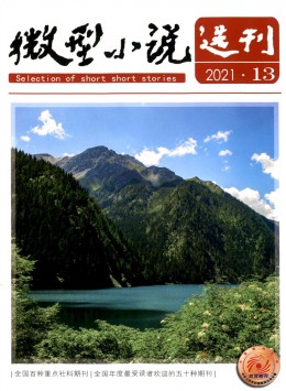 微型小說(shuō)選刊