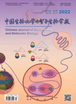 中國生物化學(xué)與分子生物學(xué)報