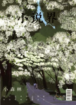 小說(shuō)界