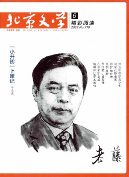 北京文學·中篇小說月報