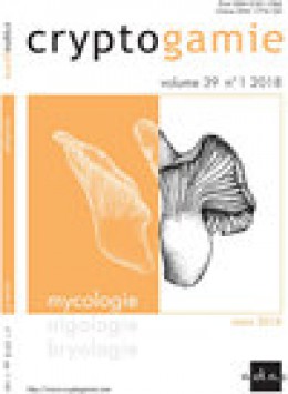 Cryptogamie Mycologie