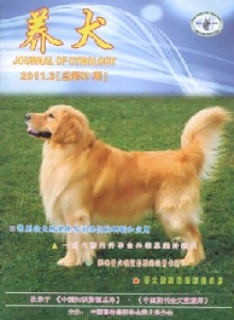 養(yǎng)犬雜志